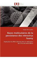 Bases Moléculaires de la Persistance Des Rétrovirus Foamy