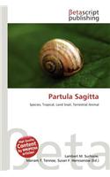 Partula Sagitta: (English)