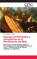 Sinergia de Nutrientes y Citoquininas en el Rendimiento del Maíz