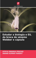 Estudar a biologia e EIL da broca de sésamo Webber e cápsula