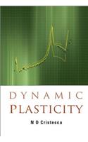 Dynamic Plasticity