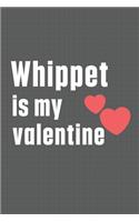 Whippet is my valentine: For Whippet Dog Fans