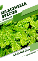 Selaginella Species
