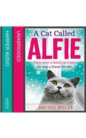 A Cat Called Alfie