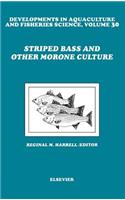 Striped Bass and Other Morone Culture