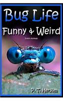 Bug Life Funny & Weird Insect Animals