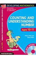 Counting and Understanding Number - Ages 10-11