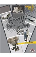 Gray Everywhere