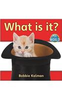 What Is It?: (My World - Grl a)
