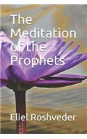 Meditation of the Prophets
