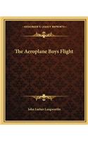 Aeroplane Boys Flight