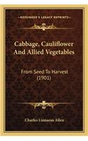 Cabbage, Cauliflower and Allied Vegetables
