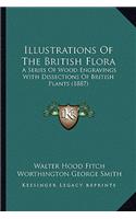 Illustrations Of The British Flora