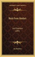 Birds From Moidart
