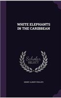 White Elephants in the Caribbean