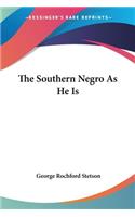 Southern Negro As He Is