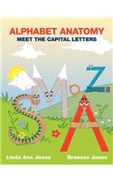 Alphabet Anatomy: Meet the Capital Letters
