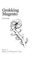 Grokking Magento Book 1