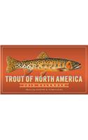 Trout of North America Wall Calendar 2019