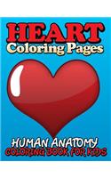 Heart Coloring Pages (Human Anatomy Coloring Book for Kids)