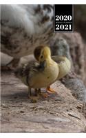 Duck Geese Goose Mallard Duckling Week Planner Weekly Organizer Calendar 2020 / 2021 - Baby Cleaning Up