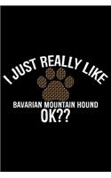 I Just Really Like Bavarian Mountain Hound Ok?: Cool Bavarian Mountain Hound Dog Journal Notebook - Funny Bavarian Mountain Hound - Bavarian Mountain Hound Owner Gifts. 6 x 9 in 120 pages