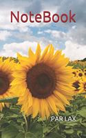 NoteBook: Sunflower Lovers Gift Notebook - Large 6 x 9 - Blush Notes 120 Pages