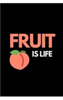 Fruit Is Life: Funny Fruit Lover Notebook/Journal (6" X 9")