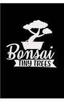 Bonsai tiny trees