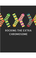 Rocking the Extra Chromosome School Journal