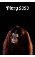 Diary: Orangutan in Darkness - Bespoke, personalised desk diary. Contact us if you would like your own image, name or other text on a book