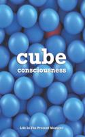 Cube Consciousness: Life In The Present Moment