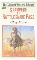 Stampede at Rattlesnake Pass