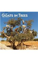 Goats in Trees 2020 Square Wall Calendar