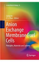 Anion Exchange Membrane Fuel Cells