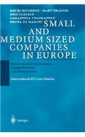Small and Medium Sized Companies in Europe