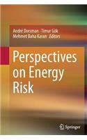 Perspectives on Energy Risk