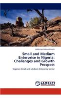 Small and Medium Enterprise in Nigeria