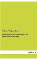 Bienenzucht in Strohwohnungen mit unbeweglichem Wabenbau