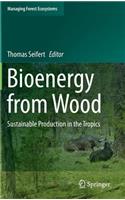 Bioenergy from Wood