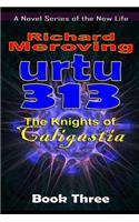 Urtu 313