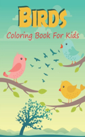 Birds Coloring Book For Kids