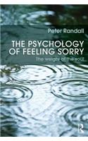 The Psychology of Feeling Sorry