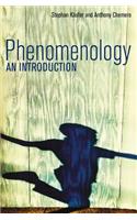 Phenomenology