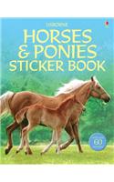 Horses and Ponies