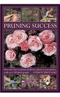 Pruning Success