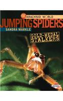 Jumping Spiders: Gold-Medal Stalkers