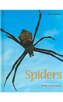 Spiders