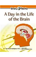 A Day in the Life of the Brain
