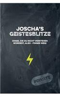 Joscha's Geistesblitze - Dinge, die du nicht verstehen würdest, also - Finger weg! Private